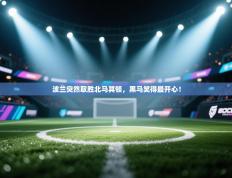 爱游戏体育下载-波兰突然取胜北马其顿，黑马笑得最开心！