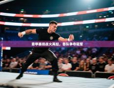 爱游戏体育娱乐-意甲赛场战火再起，各队争夺冠军