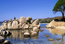 爱游体育直播-圣埃蒂安战平图卢兹，法甲保级形势略显乐观