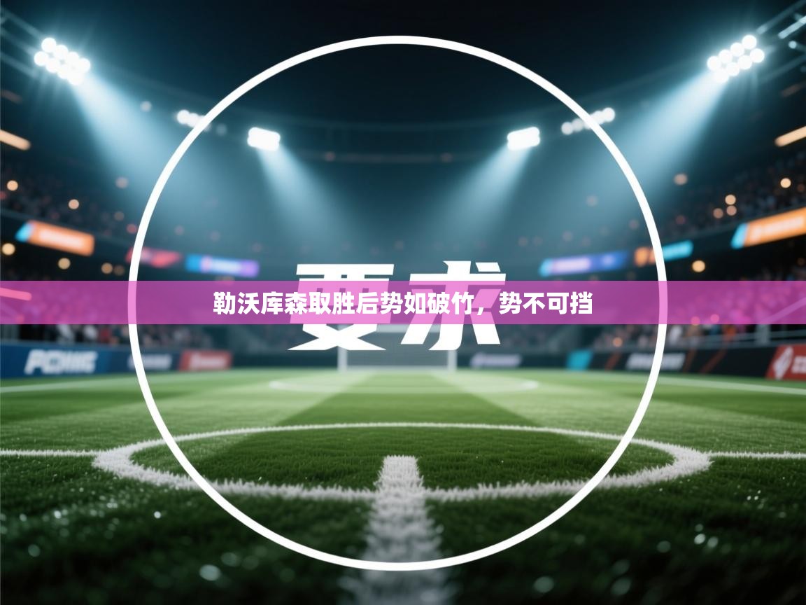 爱游戏娱乐体育官方入口-勒沃库森取胜后势如破竹，势不可挡  第3张