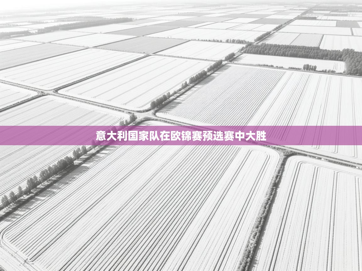 爱游戏娱乐登录-意大利国家队在欧锦赛预选赛中大胜  第1张