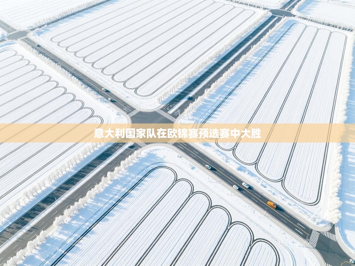 爱游戏娱乐登录-意大利国家队在欧锦赛预选赛中大胜  第3张