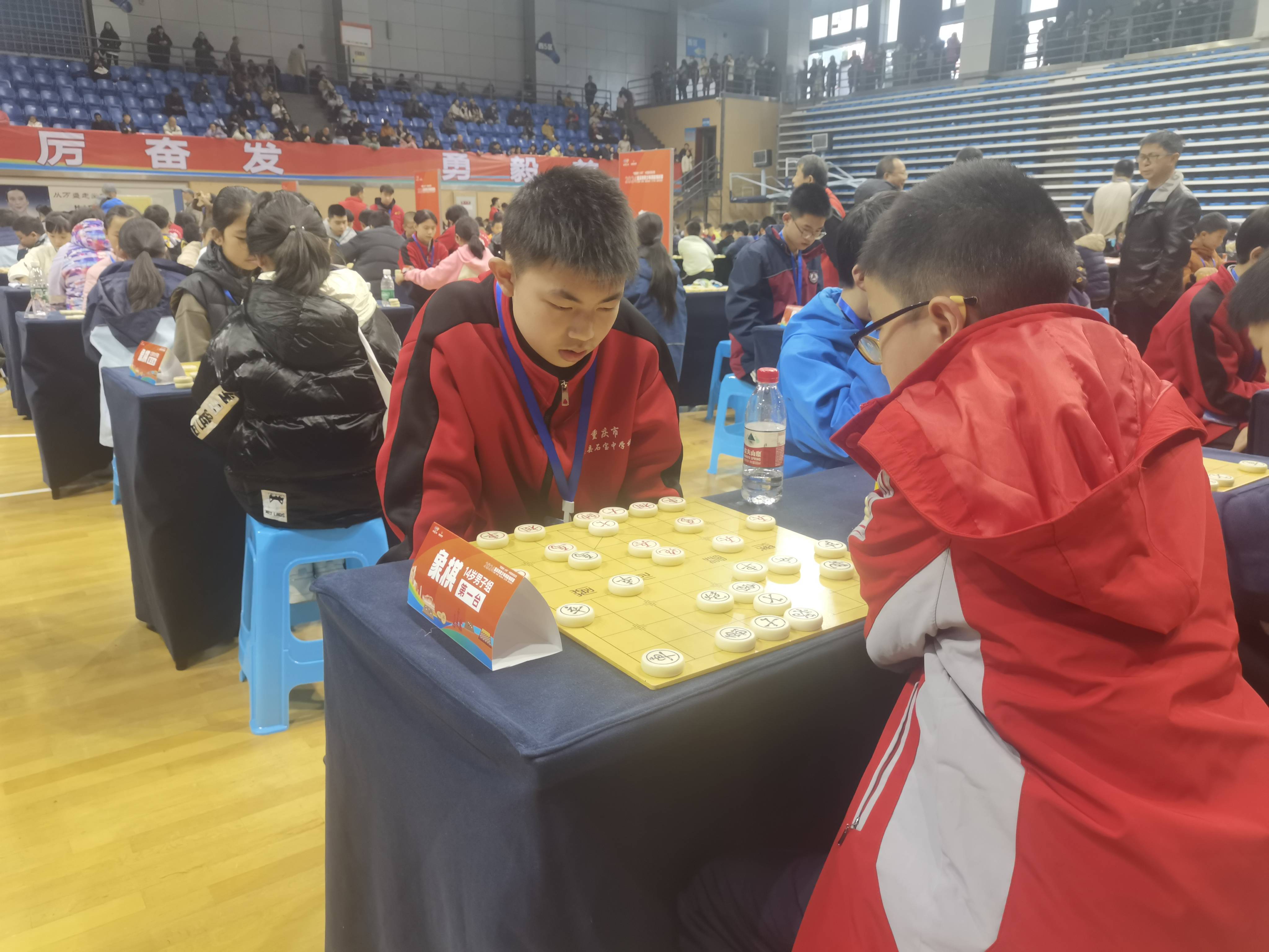 青海赛马：斗志昂扬追逐佳绩
