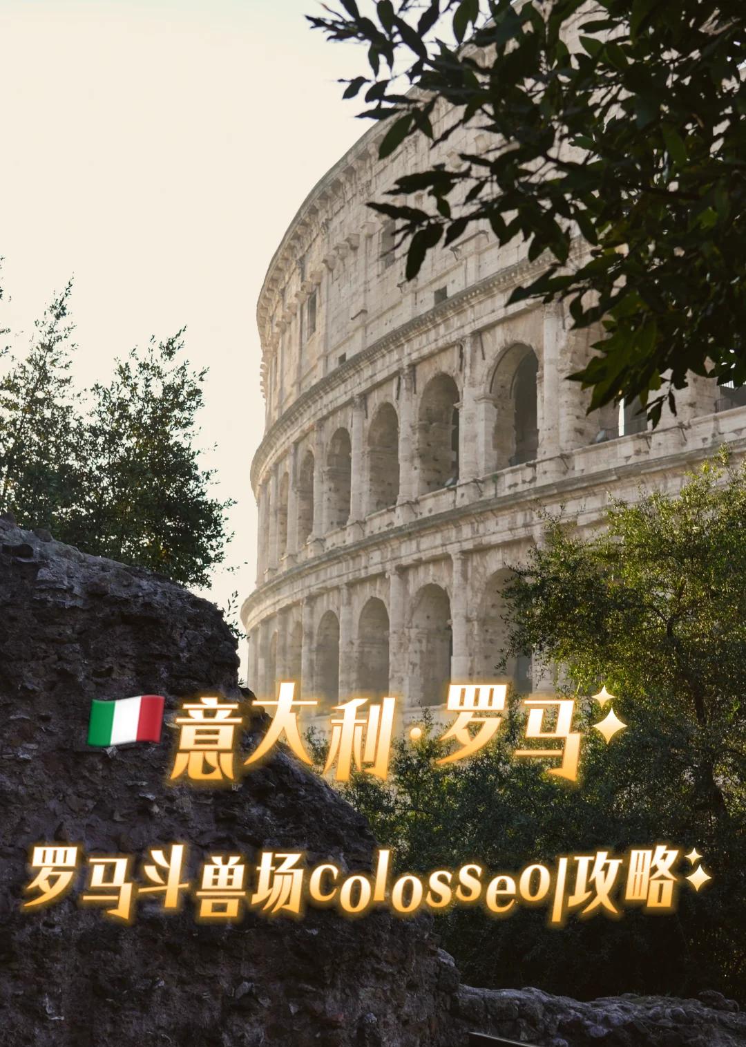 包含罗马士气高昂，期待主场大胜提升排名的词条